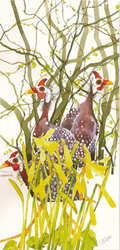 Mary Ann Rogers, Signed Limited Edition Print