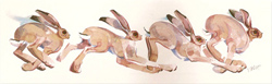 Mary Ann Rogers, Signed Limited Edition Print