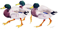 Mary Ann Rogers | Signed Limited Edition Print, Promenade