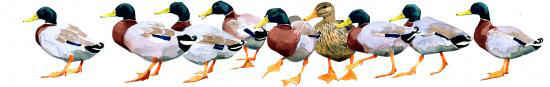 Mary Ann Rogers,  Peck, Signed Limited Edition Print
