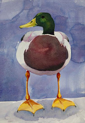 Mary Ann Rogers | Signed Limited Edition Print, Captain Drake