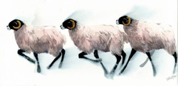 Mary Ann Rogers | Signed Limited Edition Print, Feeding Time