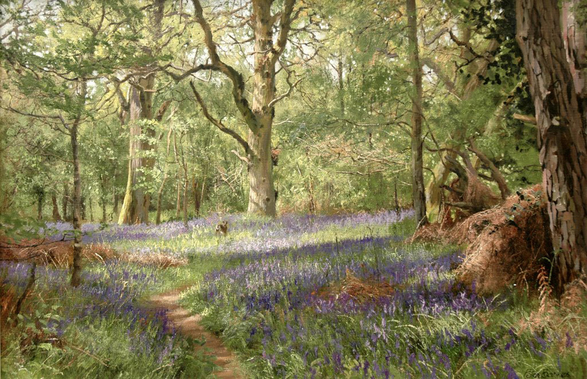 Peter Barker, original oil painting on canvas
