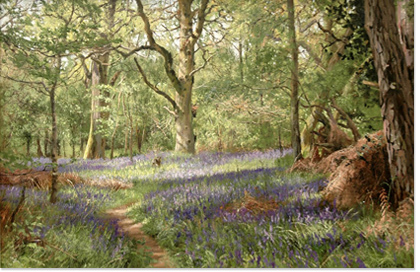 Peter Barker, original oil painting on board