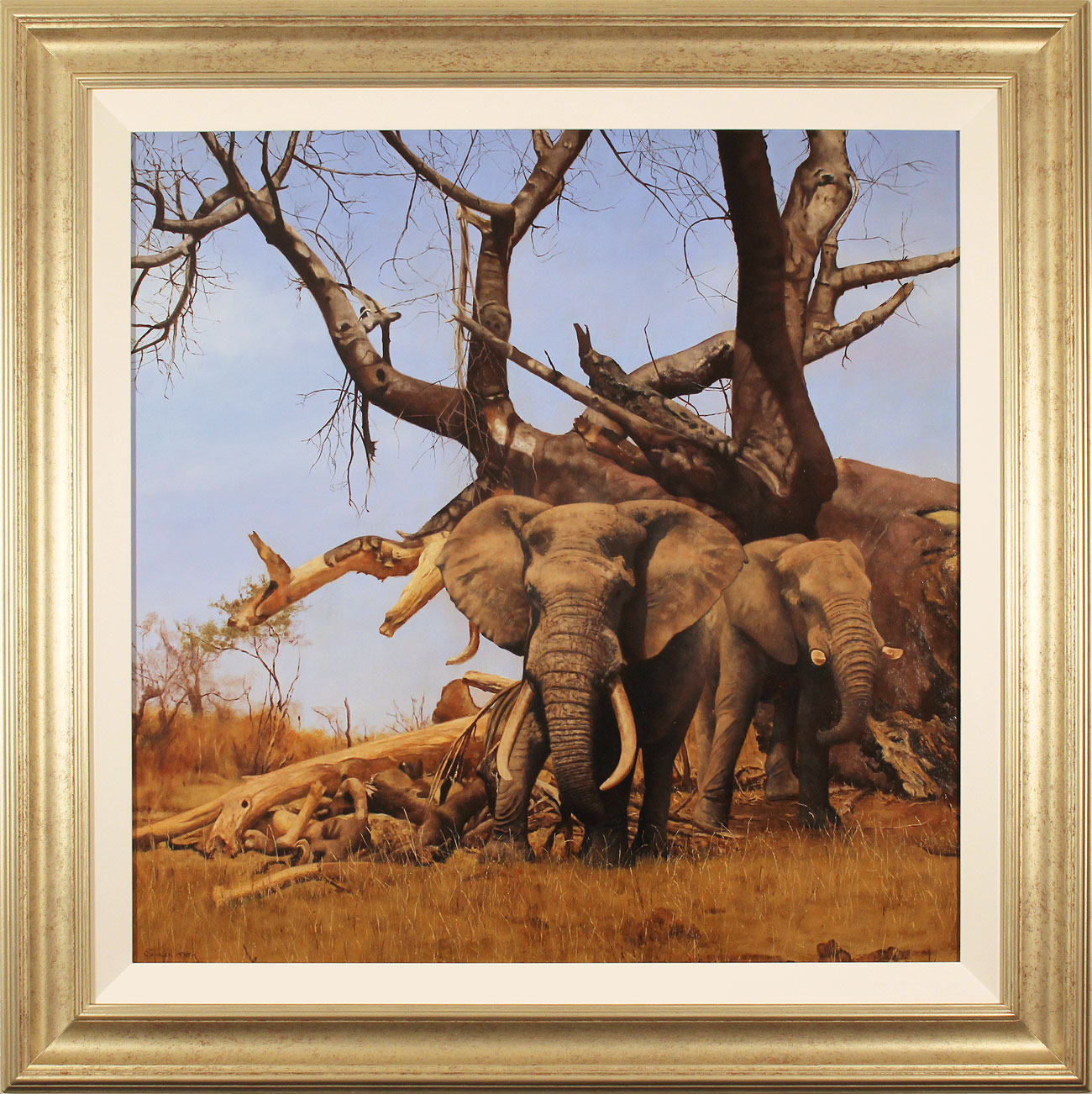 Stephen Park, Original oil painting on panel, African Elephants
