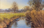 Stephen Hawkins, Original oil painting on canvas, Middleton Pastures
