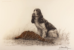 Engraving, Hand coloured restrike engraving, Cocker Spaniel and Pheasant Hen Medium image. Click to enlarge