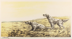 Engraving, Hand coloured restrike engraving, English Setters in Field Medium image. Click to enlarge