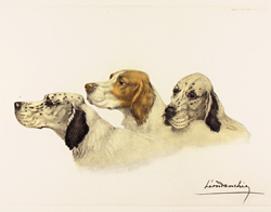 Engraving, Hand coloured restrike engraving, Three Setters