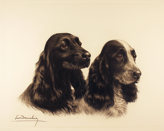 Engraving, Hand coloured restrike engraving, Two Cocker Spaniels