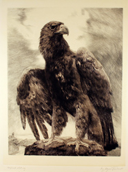 Engraving, Engraving, Eagle Medium image. Click to enlarge