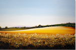 Gary Walton, Original oil painting on canvas, Untitled Medium image. Click to enlarge