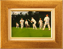 John Haskins, Original oil painting on panel, Cricket Medium image. Click to enlarge