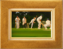 John Haskins, Original oil painting on panel, Cricket Medium image. Click to enlarge