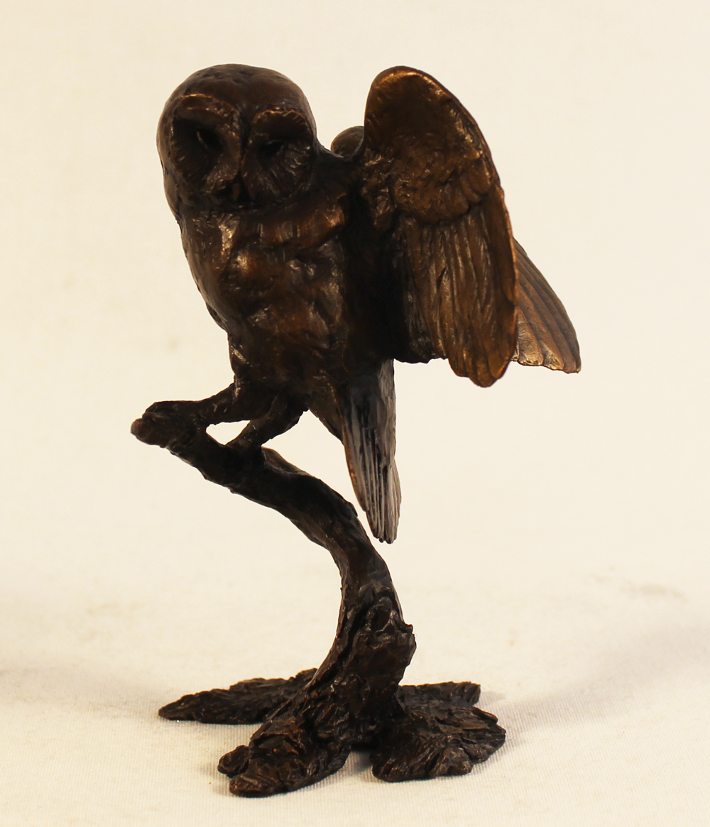 Michael Simpson, Bronze, Tawny Owl