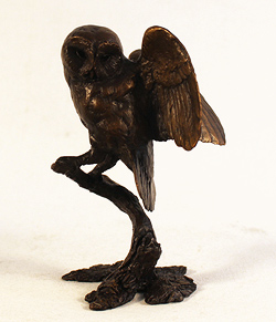 Michael Simpson, Bronze, Tawny Owl