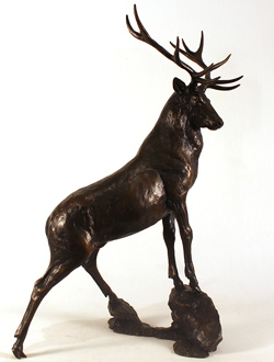 Michael Simpson, Bronze, High Point Medium image. Click to enlarge
