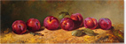 Paul Wilson, Original oil painting on panel, Plums Medium image. Click to enlarge