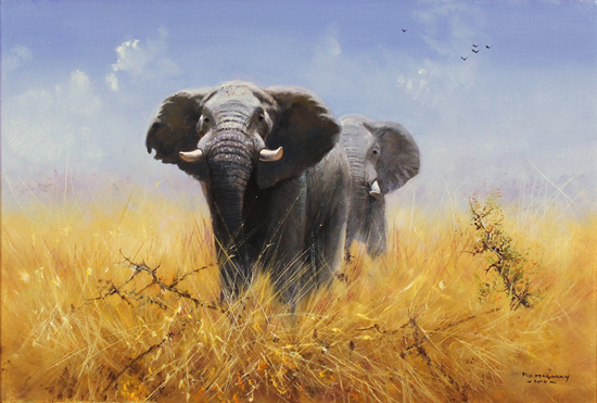 Pip McGarry, Original oil painting on canvas, Elephants