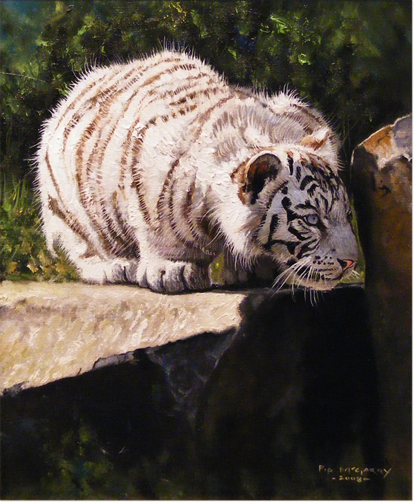 Pip McGarry, Original oil painting on canvas, White Tiger Cub