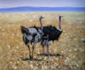 Pip McGarry, Original oil painting on canvas, Ostriches in the Mara Medium image. Click to enlarge
