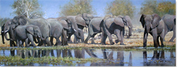 Pip McGarry, Original oil painting on canvas, Delta Reflections Medium image. Click to enlarge