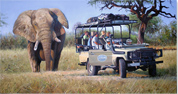 Pip McGarry, Original oil painting on canvas, Surprise Encounter Medium image. Click to enlarge