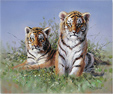 Pip McGarry, Original oil painting on canvas, Tiger Cub Bros Medium image. Click to enlarge