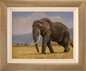 Pip McGarry, Original oil painting on canvas, Ngorongoro Elephant Medium image. Click to enlarge