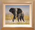 Pip McGarry, Original oil painting on canvas, Bull Elephant in Botswana Medium image. Click to enlarge