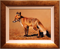 Pip McGarry, Original oil painting on canvas, Young Fox Medium image. Click to enlarge