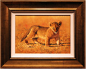 Pip McGarry, Original oil painting on canvas, Lion Cub, Serengetti Medium image. Click to enlarge