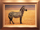 Pip McGarry, Original oil painting on canvas, King of the Crater (Lone Zebra) Medium image. Click to enlarge