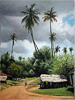 Pip McGarry, Original oil painting on canvas, On the Road to Selous Medium image. Click to enlarge