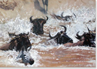 Pip McGarry, Original oil painting on canvas, Flight of the Wildabeeste Medium image. Click to enlarge