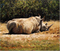 Pip McGarry, Original oil painting on canvas, Rhino Afternoon  Medium image. Click to enlarge