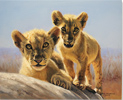 Pip McGarry, Original oil painting on canvas, Lion Bros Medium image. Click to enlarge