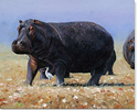 Pip McGarry, Original oil painting on canvas, Chobe River Hippos Medium image. Click to enlarge