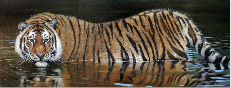 Pip McGarry, Original oil painting on canvas, Tiger in Water