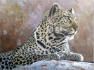 Pip McGarry, Original oil painting on canvas, Leopard Portrait Medium image. Click to enlarge