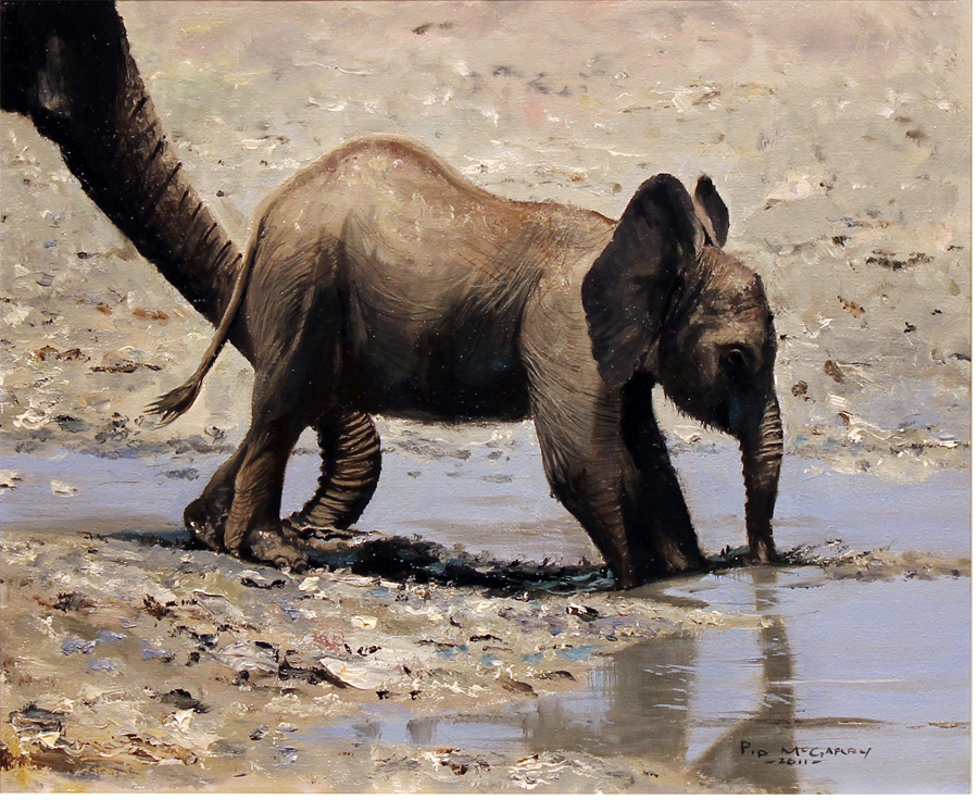 Pip McGarry, Original oil painting on canvas, Baby Elephant