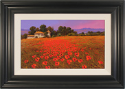 Steve Thoms, Original oil painting on panel, Field of Tuscan Poppies Medium image. Click to enlarge