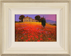Steve Thoms, Original oil painting on panel, Poppy Field Medium image. Click to enlarge