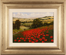 Steve Thoms, Original oil painting on panel, Poppy Fields, North Yorkshire Medium image. Click to enlarge