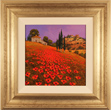 Steve Thoms, Original oil painting on panel, Tuscan Poppies Medium image. Click to enlarge