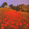 Steve Thoms, Original oil painting on panel, Tuscan Poppies Medium image. Click to enlarge