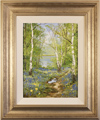 Terry Evans, Original oil painting on canvas, Yorkshire Woodland Medium image. Click to enlarge