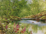 Terry Evans, Original oil painting on canvas, Wharfedale in Spring Medium image. Click to enlarge