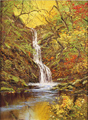 Terry Evans, Original oil painting on canvas, Janet's Foss, North Yorkshire Medium image. Click to enlarge