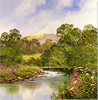 Terry Evans, Original oil painting on canvas, Untitled Medium image. Click to enlarge
